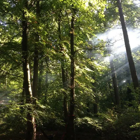 Ferien Hohes Elbufer Casa de hóspedes Schnakenbek