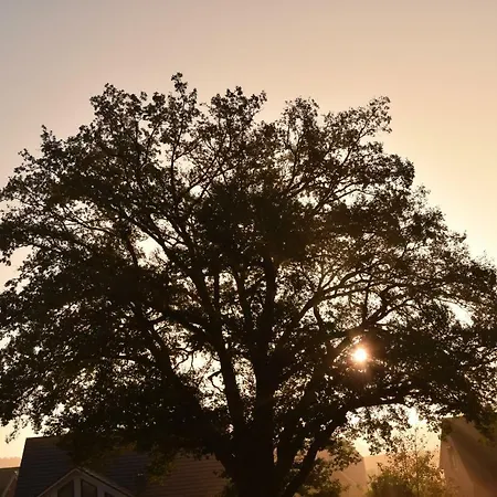 Casa de hóspedes Ferien Hohes Elbufer Schnakenbek